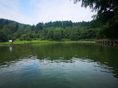 -武陵山森林公园