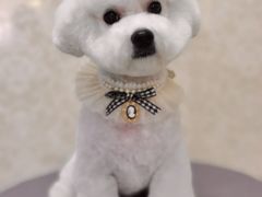 -乐琪宠物(青塔西路店)