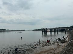 -日照世帆赛基地