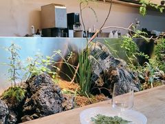 -曲廊院(东四十一条店)