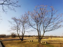 -盘龙城国家考古遗址公园