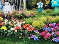 -上海共青森林公园