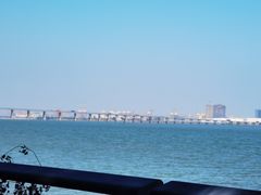 -大湾区中央湿地公园