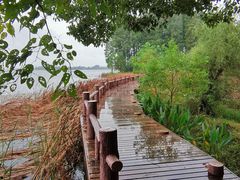 -东湖落雁景区
