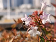 -世博源公馆·本帮融合菜·主题包厢·江景餐厅