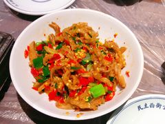 鸭掌筋-壹盏灯(惠农店)