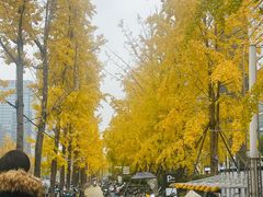 -合景·悠方(成都店)