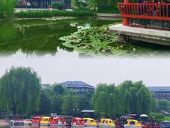 -西海子公园