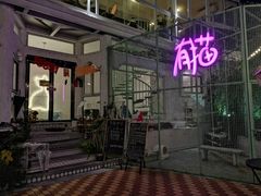 -有猫主题·治愈系猫咖(曾厝垵店)