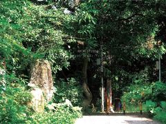 -高榜山景区