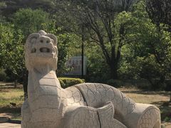 -北京十三陵国家森林公园蟒山景区