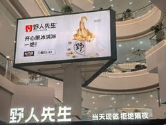 -野人先生Gelato(上海长宁龙之梦店)