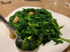 清炒豆苗-岭南小馆
