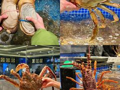 -东海怡品海鲜豆捞(舟宿夜江店)