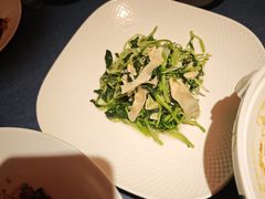-老吉堂上海本帮菜(工体店)