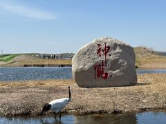 -黑龙江扎龙生态旅游区