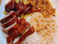 -宋记港式烧鹅(星火路店)