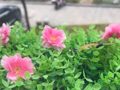 -宝荣鱼馆·临湖之宴(千岛湖店)