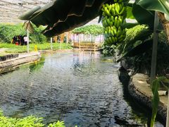 -晶宝温泉农庄