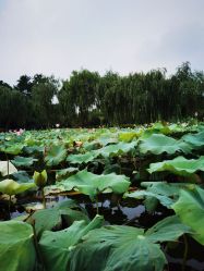 -剑鱼皮划艇俱乐部(石湖基地)