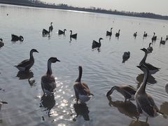 -东滩湿地公园观海楼餐厅