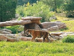 -北京野生动物园