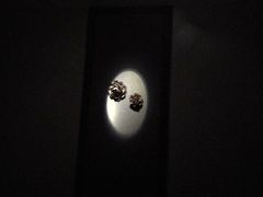 -Dragonfly悠庭·按摩Spa(浦东嘉里城店)