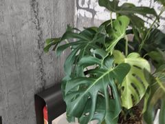 -喜茶(珠海华发商都店)