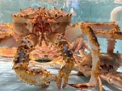 -尚海豆捞(乐虹坊店)