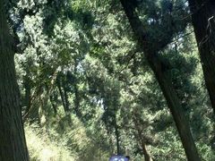 android_upload_pic-金堂县云顶石城风景区