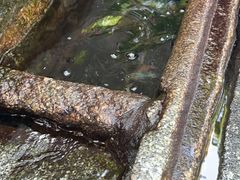 -白沙古井