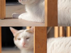 -青沐画室·专业美术培训
