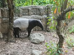 -清迈夜间动物园