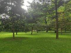 -唐城墙遗址公园