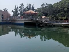 -广东惠东海龟国家级自然保护区