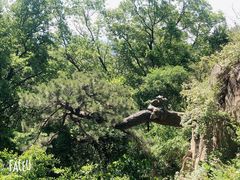 -天津盘山风景名胜区