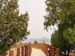 -白水寺森林公园