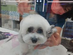 -全心全意动物诊疗中心医院(北苑店)