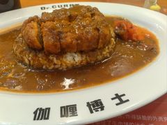 -伽喱博士 Dr.CURRY咖喱饭(太阳宫咖喱店)