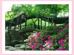 -惠山古镇·寄畅园