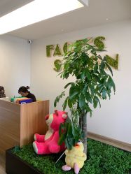 -FACE·日本小颜美容整骨