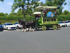 -海澜飞马水城