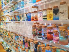 -艺心瓶(曾厝埯天泉路店)