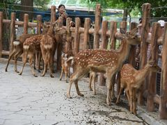 -上海野生动物园