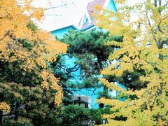 -八大关景区