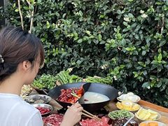 -阳阳老火锅(小南门店)