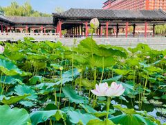 -大明幻境第一城