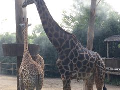 -野生动物园-停车场