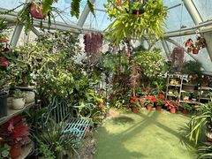 -南宫五洲植物乐园