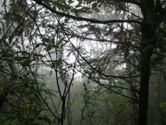 -窦圌山风景区
